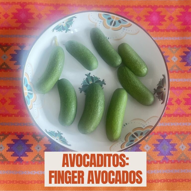 avocaditos - finger avocados