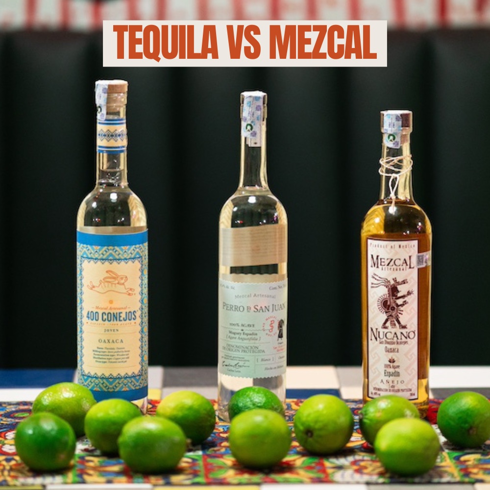 tequila vs mezcal - what's the difference guide
