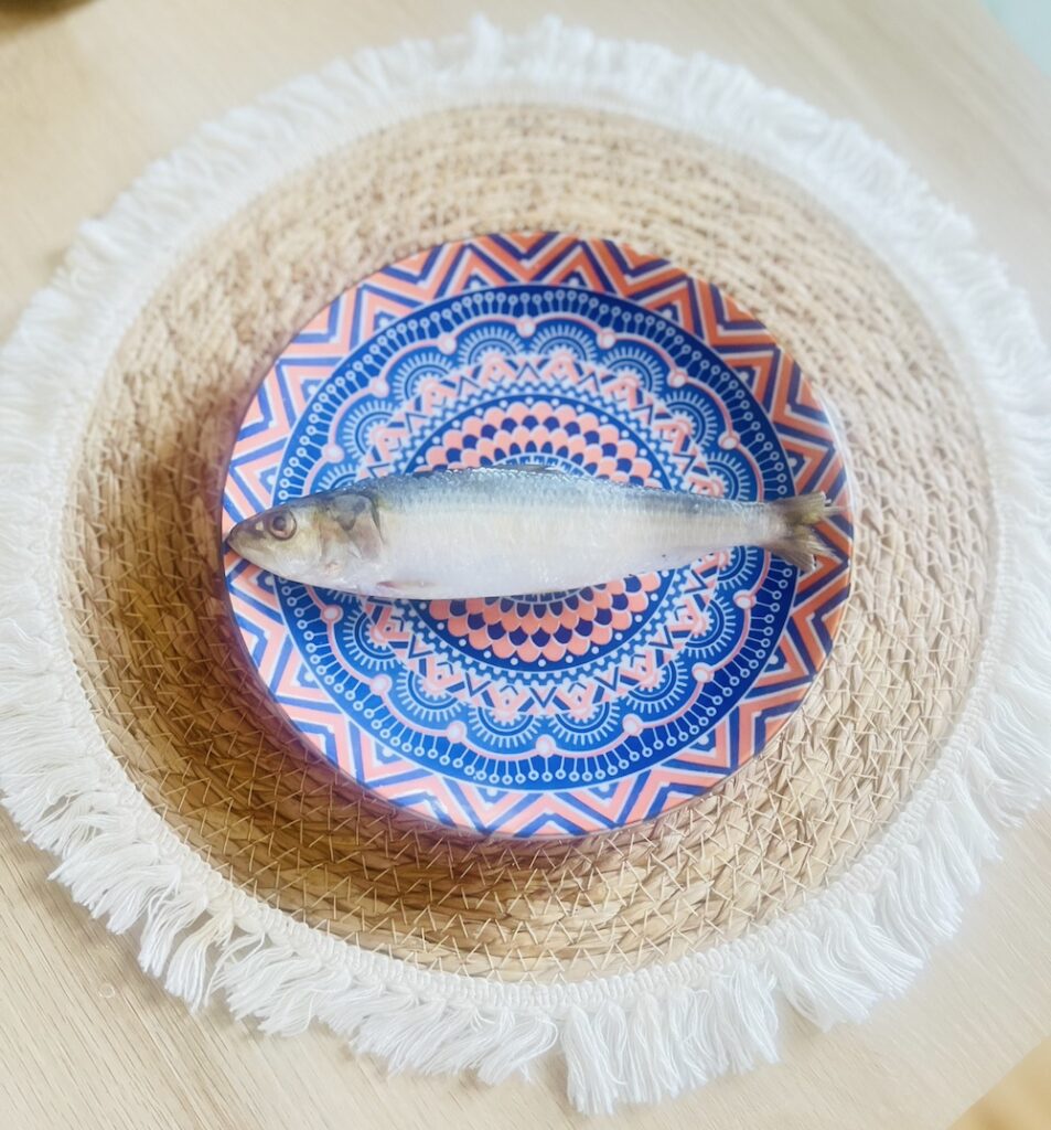 fresh sardine