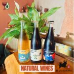 atural wines and Pet Nats at Bu da Khari wine bar in Batumi