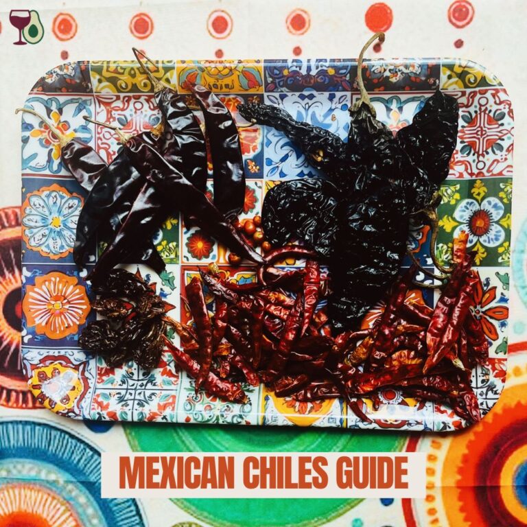 My Mexican Chiles Guide - 12 chiles explained